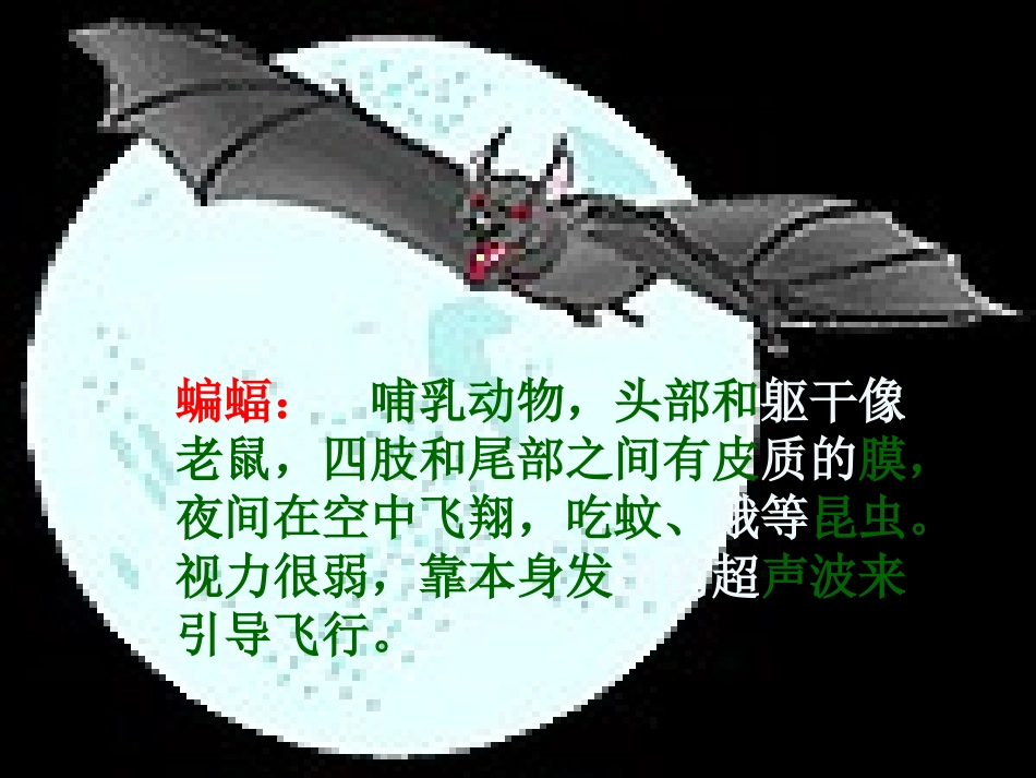 蝙蝠和雷达 (3)_第2页