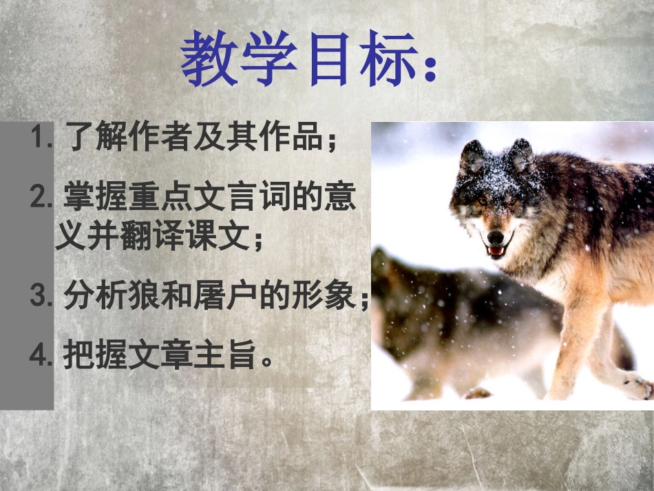 《狼》&狼专题张玉清_第2页