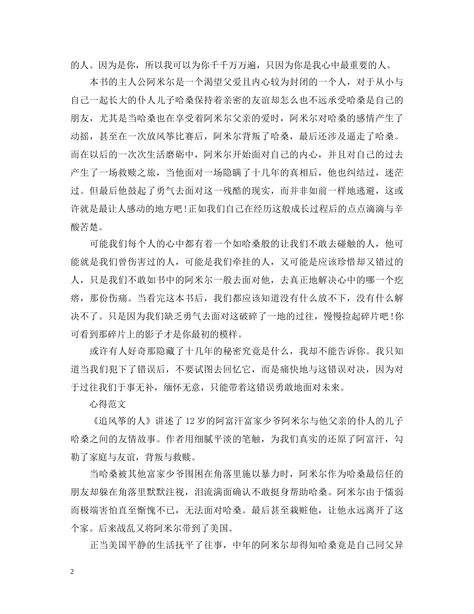 《追风筝的人》读书心得体会600字 _第2页