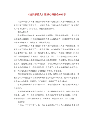 《追风筝的人》读书心得体会600字 