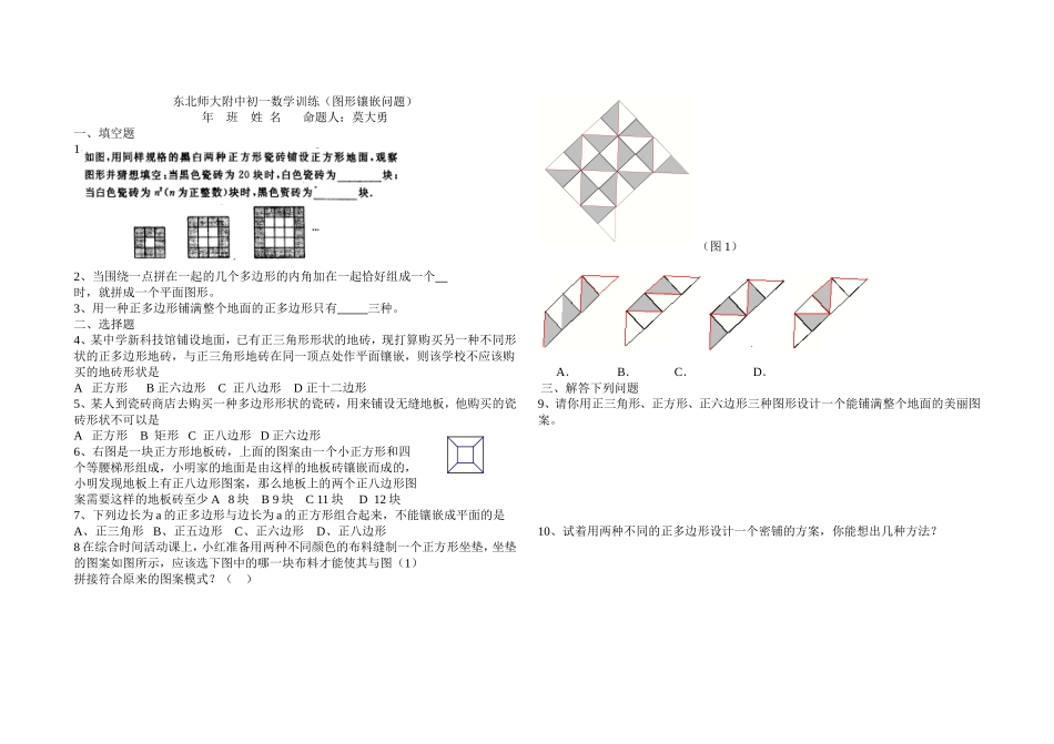 图形镶嵌课堂练习_第1页