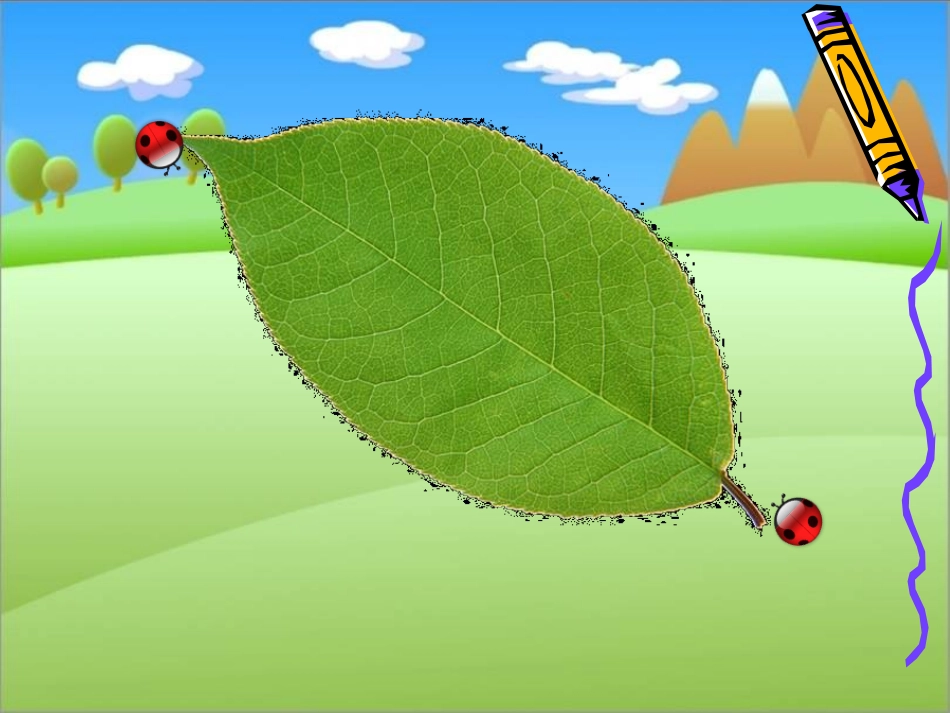 三上认识周长（三）_第3页