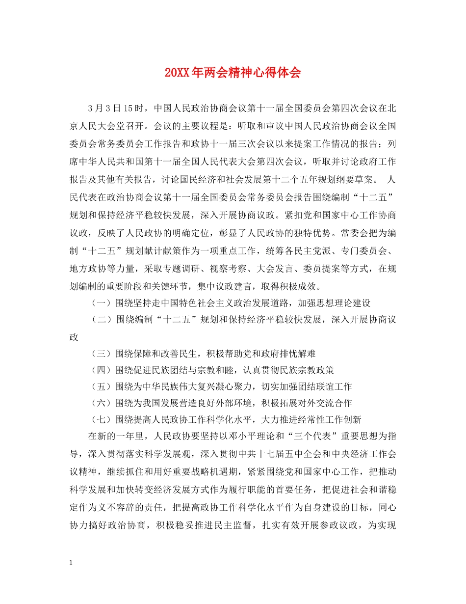 20XX年两会精神心得体会 _第1页