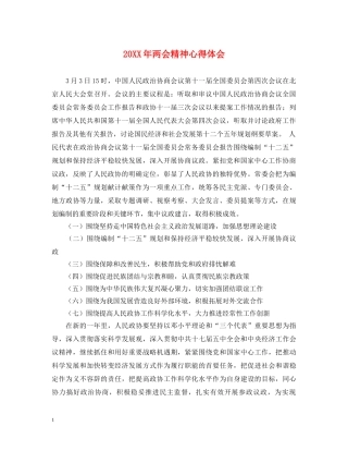 20XX年两会精神心得体会 