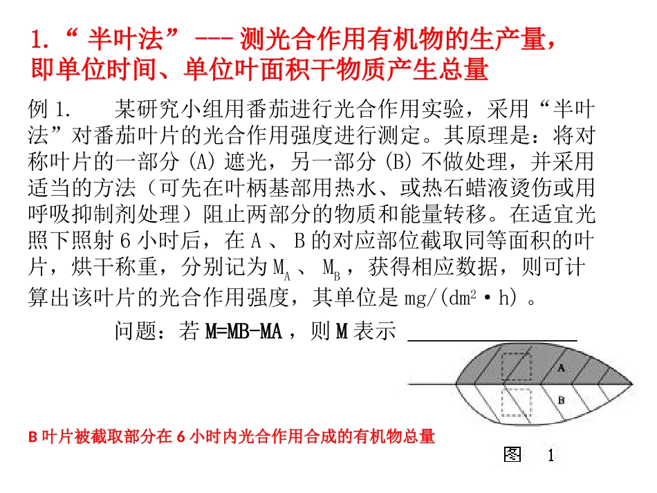 人教版必修1第5章第4节光合速率的测定方法例析PPT共20张_第2页