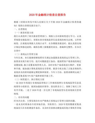 2024年金融统计检查自查报告 