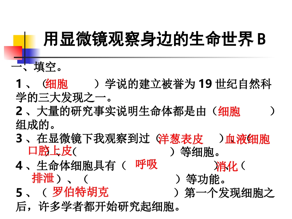 教科版小学科学六年级下册第一单元《用显微镜观察身边的生命世界》PPT课件之二_第3页