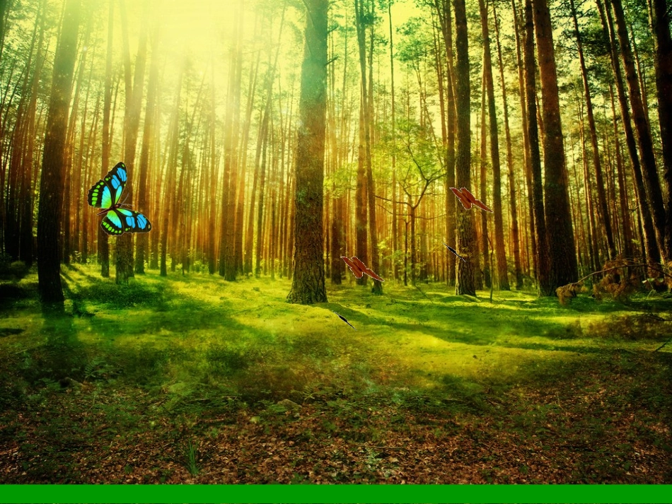 幼儿园大班语言—快乐的小屋_第3页