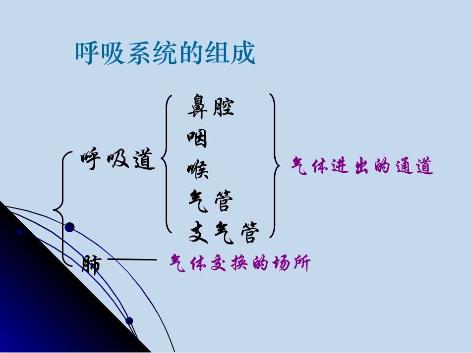 人体和外界环境的气体交换_第3页