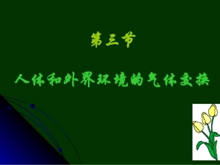 人体和外界环境的气体交换