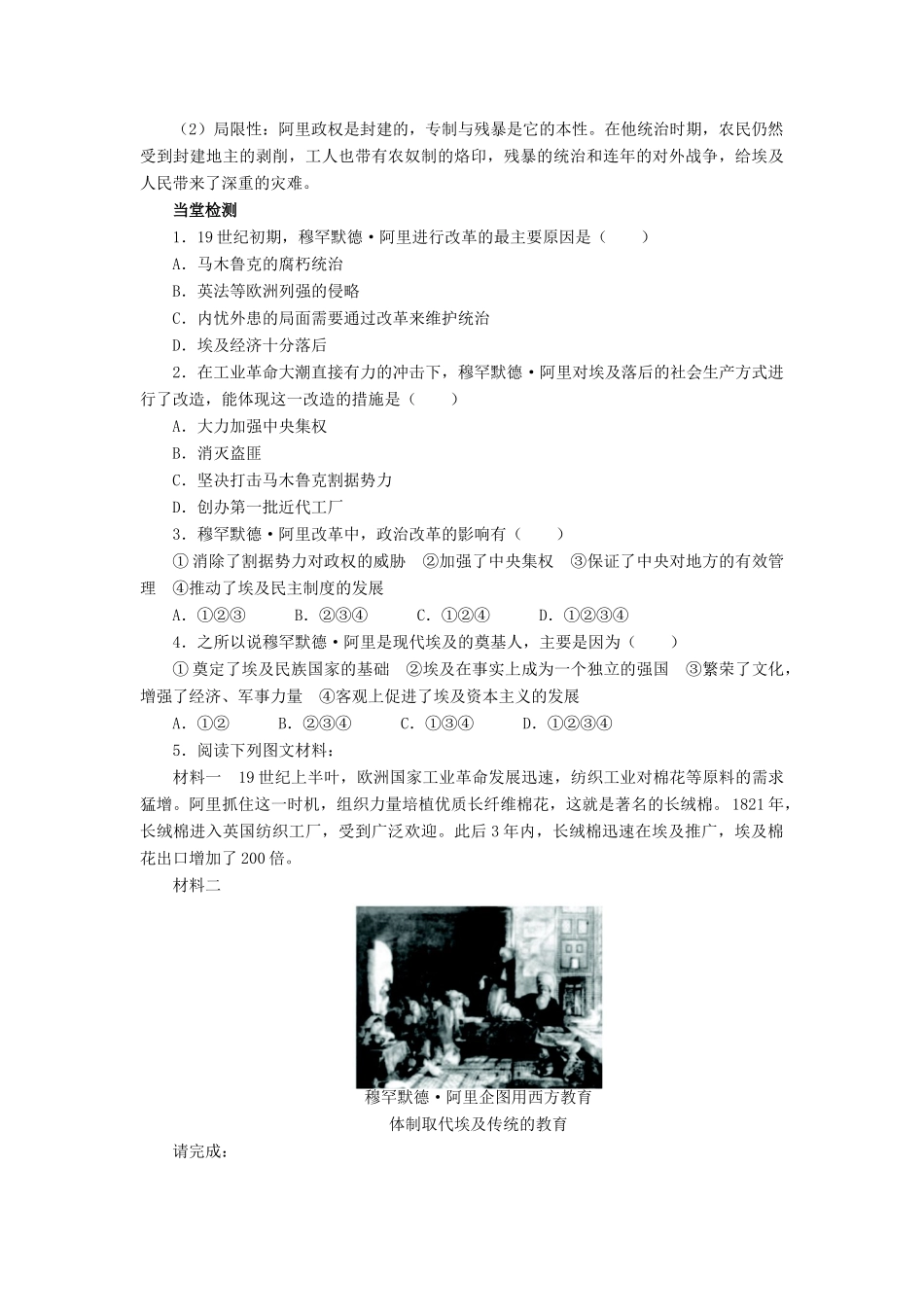 高中历史 专题六 穆罕默德阿里改革 二 中兴埃及的改革学案2 人民版选修1-人民版高二选修1历史学案_第2页