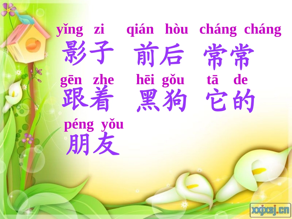 《影子》课件_第2页