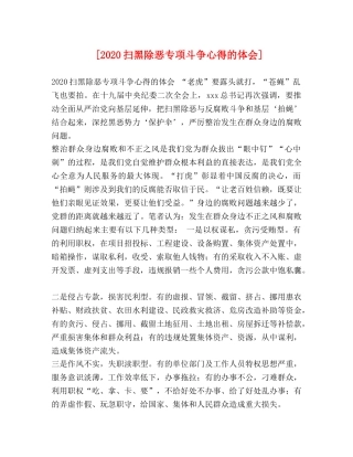 [2024扫黑除恶专项斗争心得的体会] 