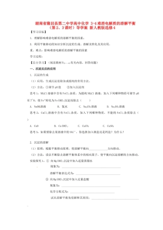 湖南省隆回县第二中学高中化学 3-4难溶电解质的溶解平衡（第2、3课时）导学案 新人教版选修4