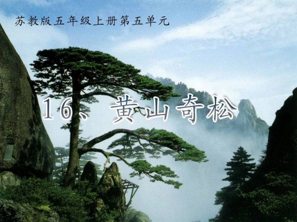 五年级语文上册第五组1黄山奇松第一课时课件_第1页