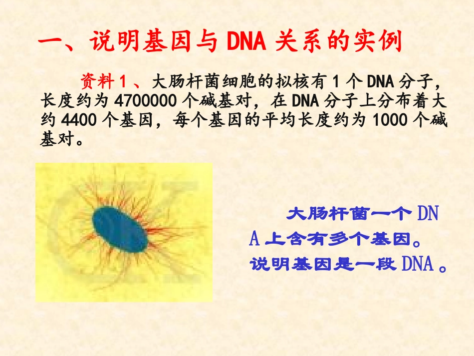 【生物】34基因是有遗传效应的DNA片段课件1（人教版必修2）_第2页