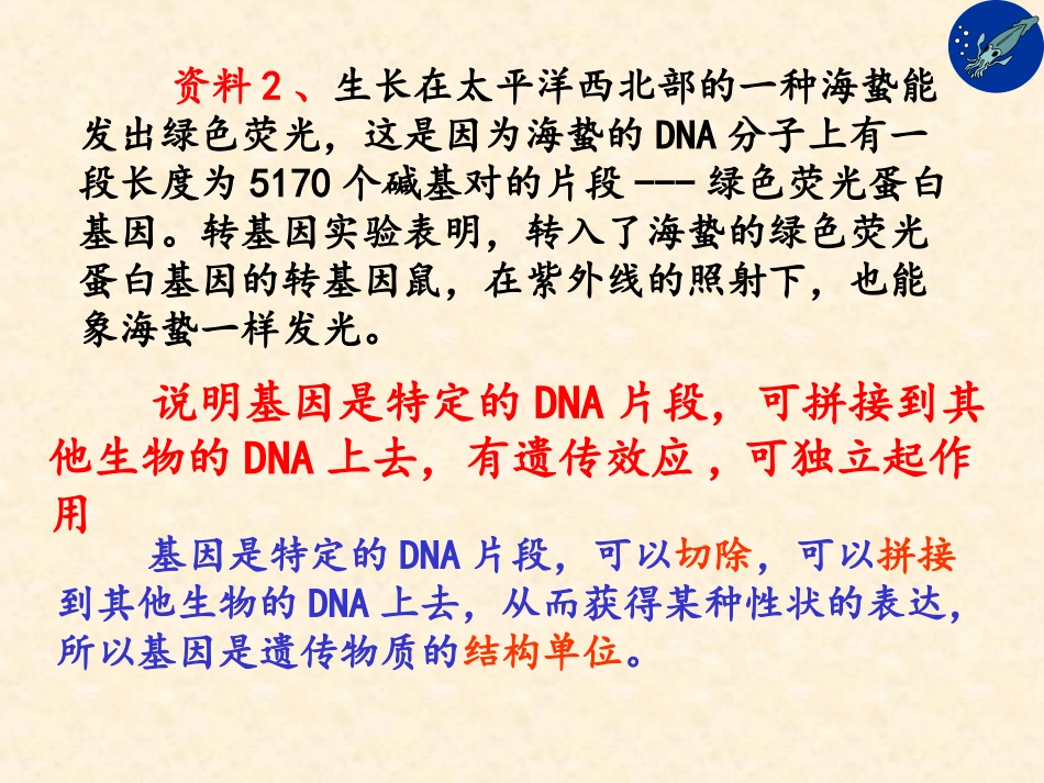 【生物】34基因是有遗传效应的DNA片段课件1（人教版必修2）_第3页