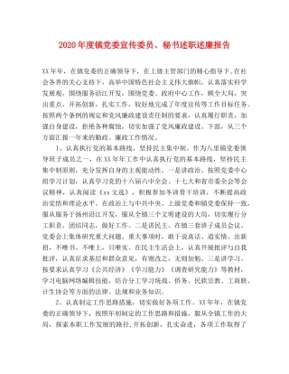 2024年度镇党委宣传委员、秘书述职述廉报告 