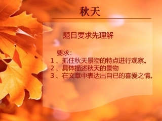 秋天的景色__作文