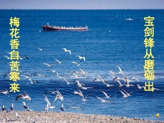 八年级数学菱形课件