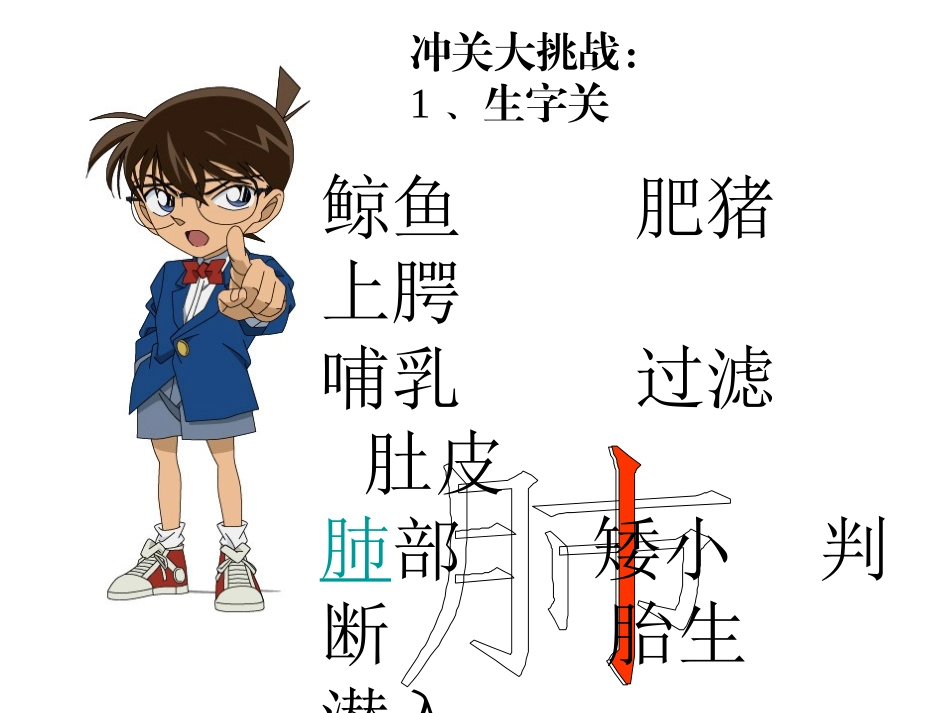 鲸徐韧制作课件_第3页