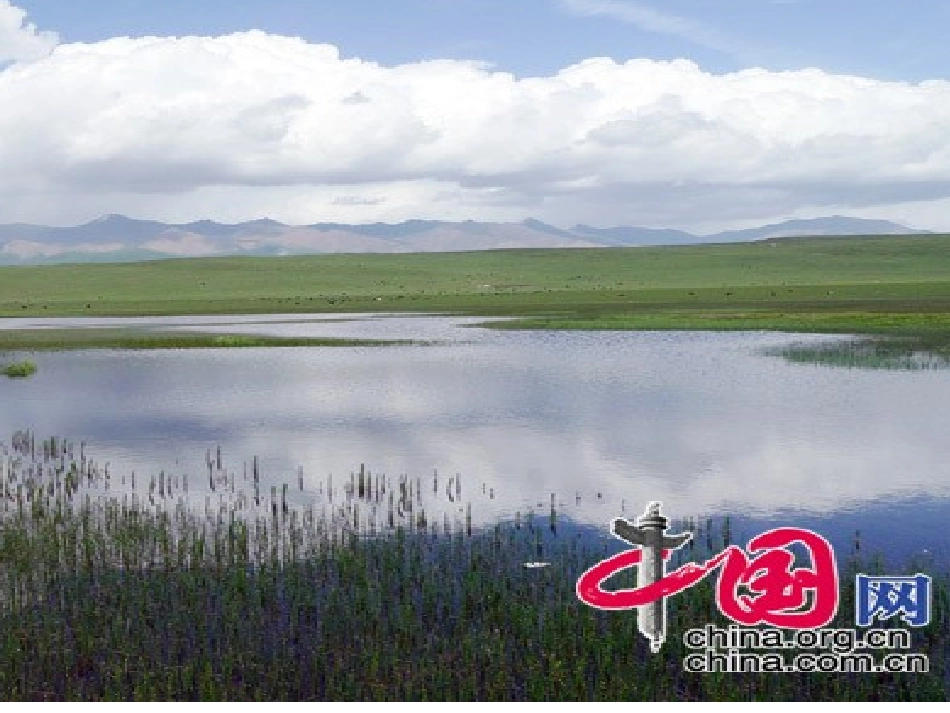 三年级万以内数的笔算加法_第3页