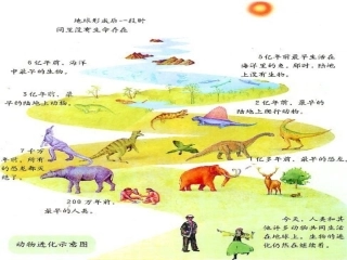 人教版必修二第7章第1节现代生物进化理论的由来（共32张PPT）