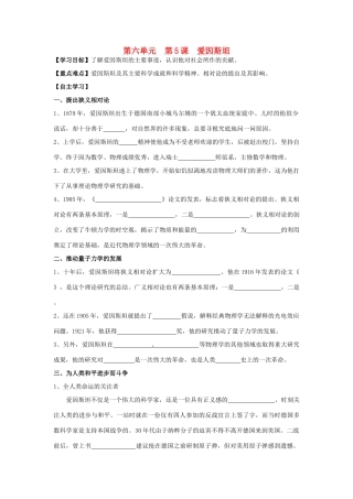 高中历史 6.5 20世纪的科学伟人爱因斯坦1学案 新人教版选修4-新人教版高二选修4历史学案
