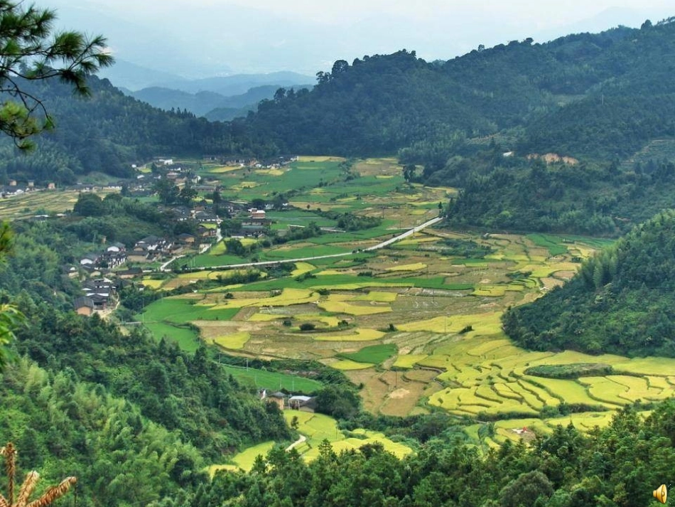 搭石课件(汪甜）_第1页