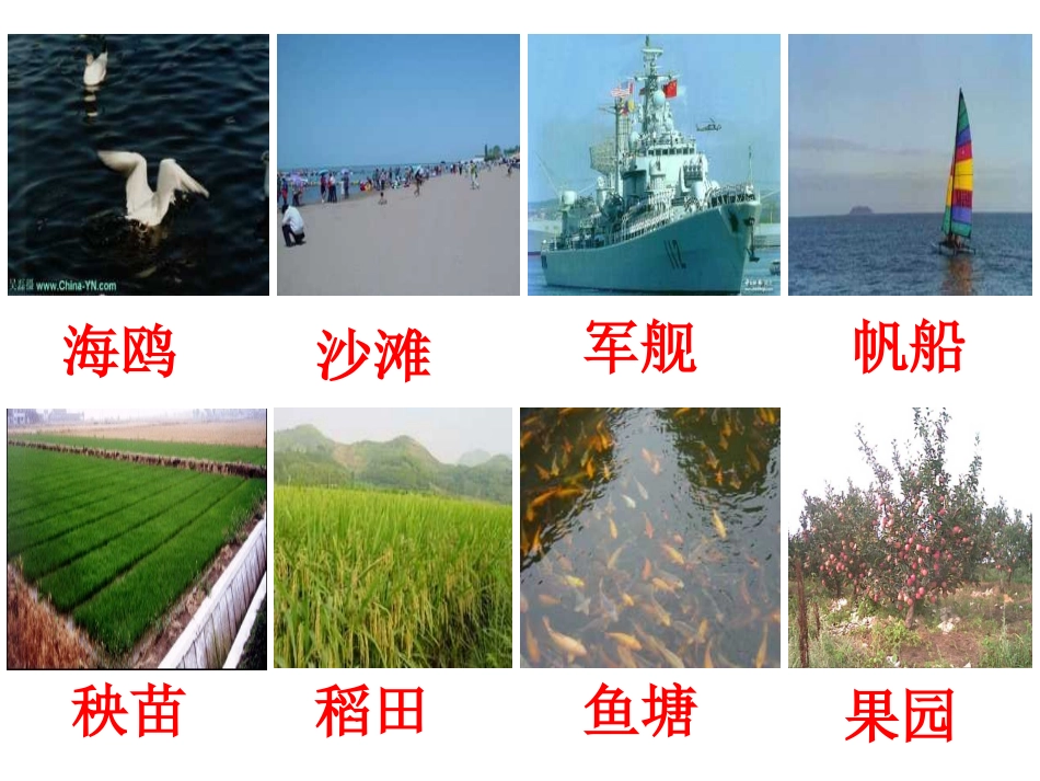 一年级下册识字六_第2页