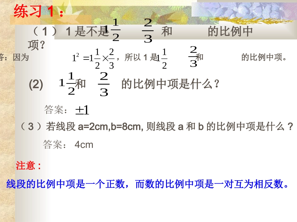 比例线段课件_第3页