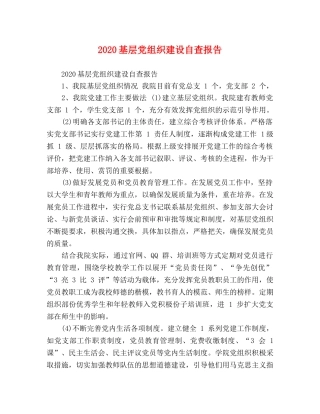 2024基层党组织建设自查报告 