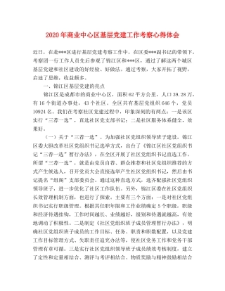 2024年商业中心区基层党建工作考察心得体会 