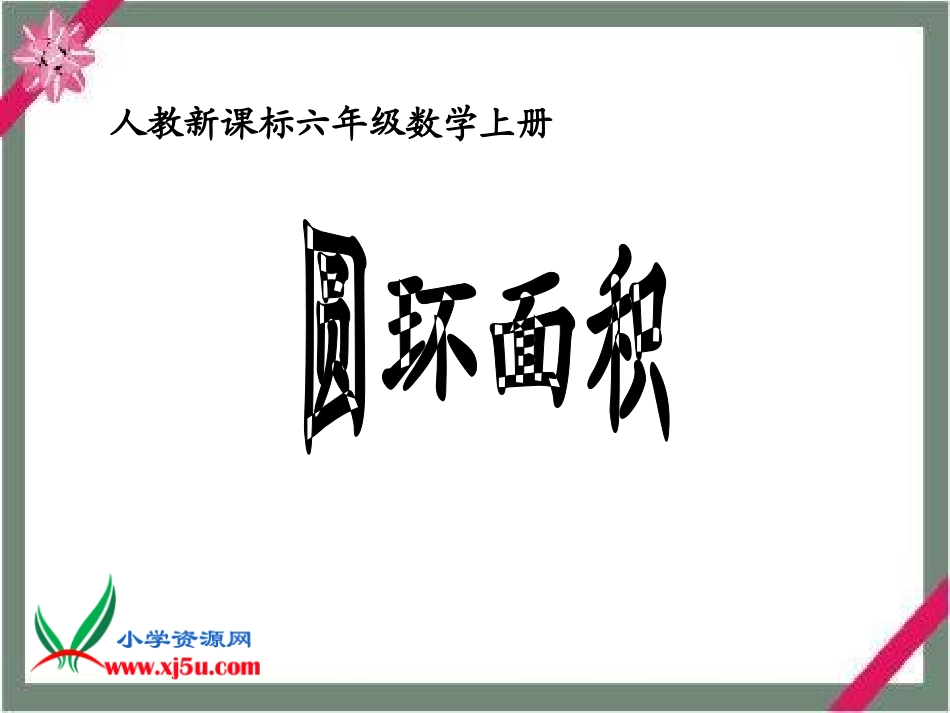 人教新课标数学六年级上册《圆环面积》PPT课件_第1页