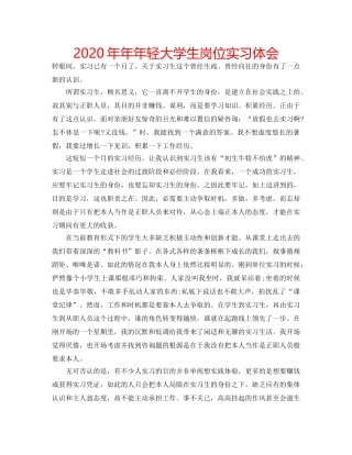 2024年年年轻大学生岗位实习体会 