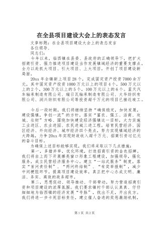 在全县项目建设大会上的表态发言稿