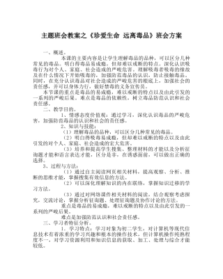 《珍爱生命 远离毒品》班会方案 