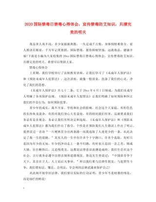 2024国际禁毒日禁毒心得体会，宣传禁毒防艾知识，共撑完美的明天 