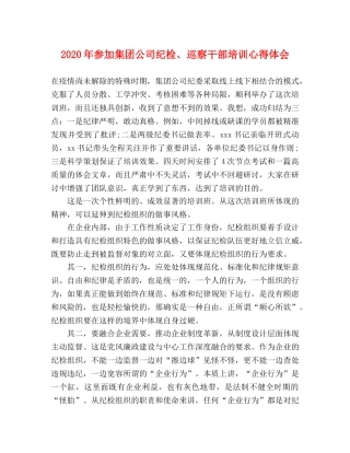 2024年参加集团公司纪检、巡察干部培训心得体会 