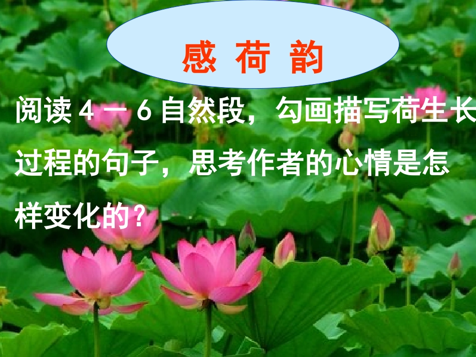 王典《荷塘月色》_第3页