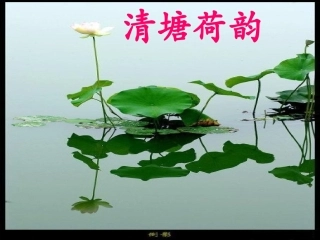 王典《荷塘月色》