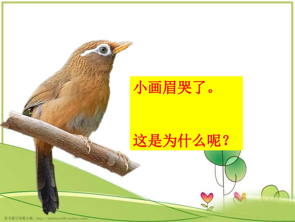 《小画眉》教学课件_第2页