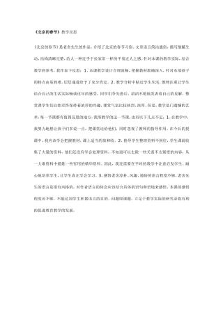 北京的春节 (3)