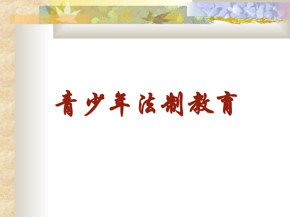 小学生法制教育PPT(1)_第1页