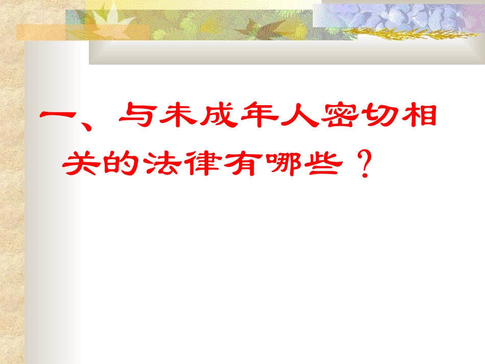 小学生法制教育PPT(1)_第3页