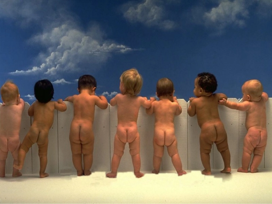 初中二年级生物下册第七单元第二章生物的遗传和变异第四节人的性别遗传第一课时课件_第2页