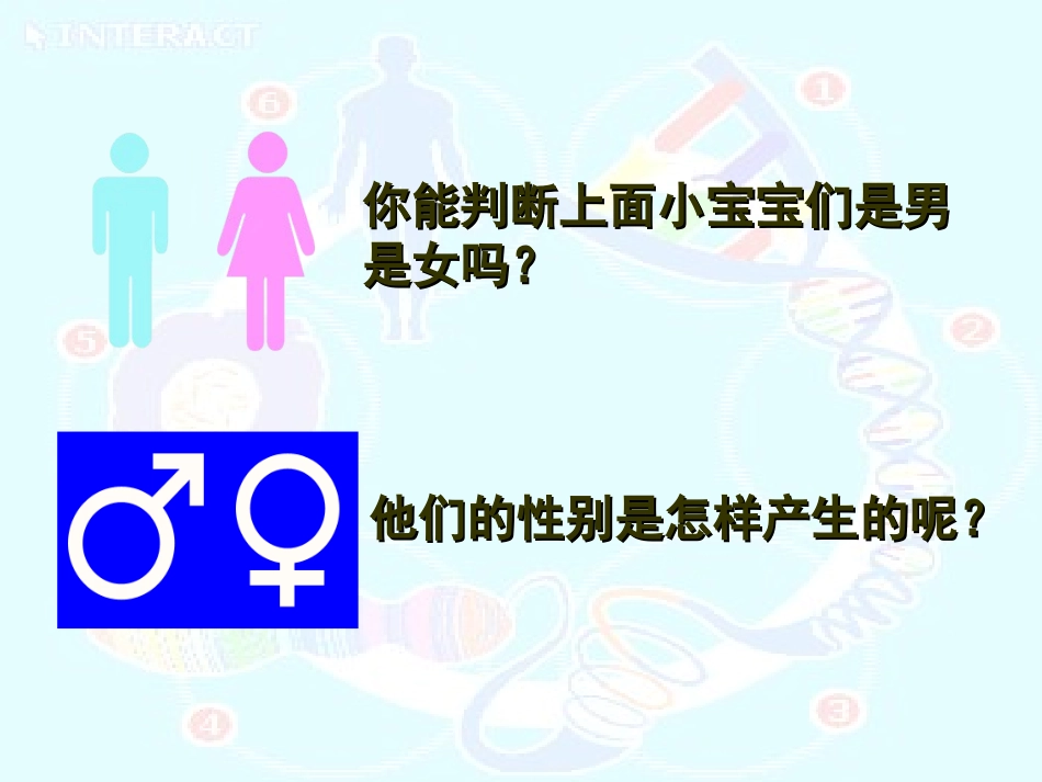 初中二年级生物下册第七单元第二章生物的遗传和变异第四节人的性别遗传第一课时课件_第3页