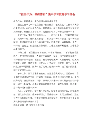 “担当作为、狠抓落实”集中学习教育学习体会 