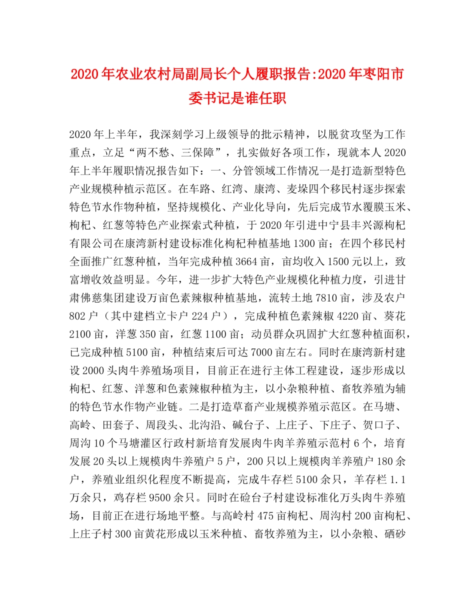 2024年农业农村局副局长个人履职报告-2024年枣阳市委书记是谁任职 _第1页