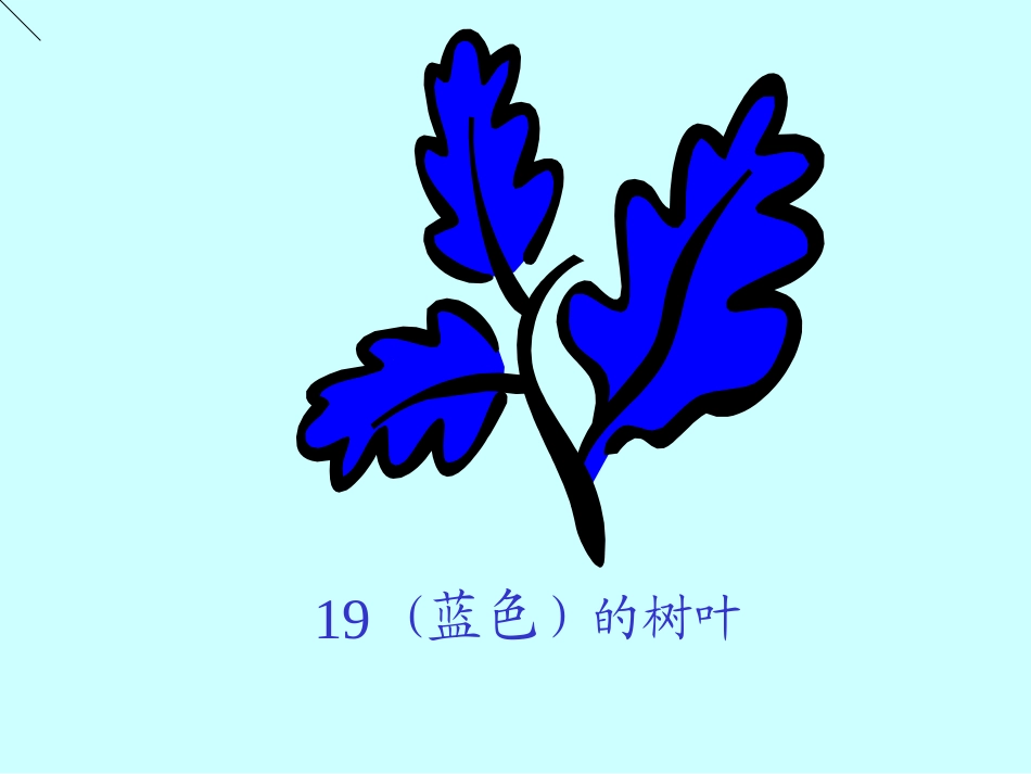 蓝色的树叶课件 (2)_第1页